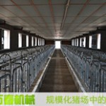 規(guī)?；B(yǎng)豬場設(shè)備終末消毒方法(安全程序)